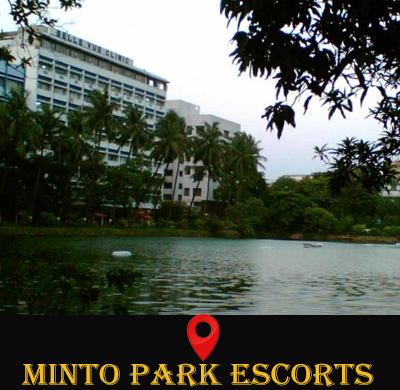 VIP escorts in Minto Park